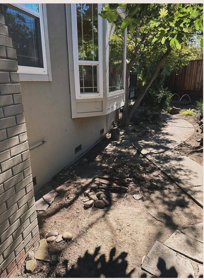 Cleared walkway after yard debris removal